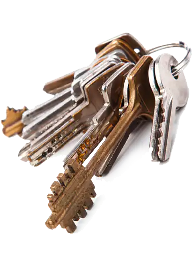 Reproduction cl&eacute; Lyon 4